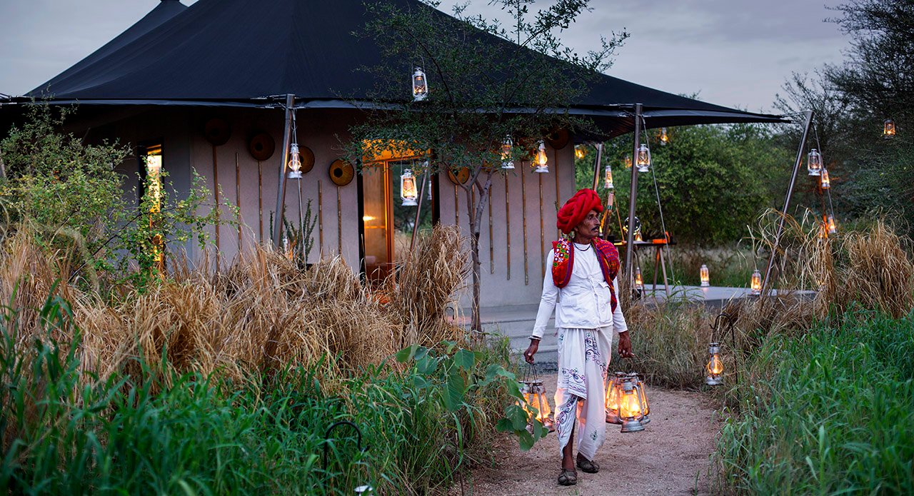 Night Under Jawai Sky™